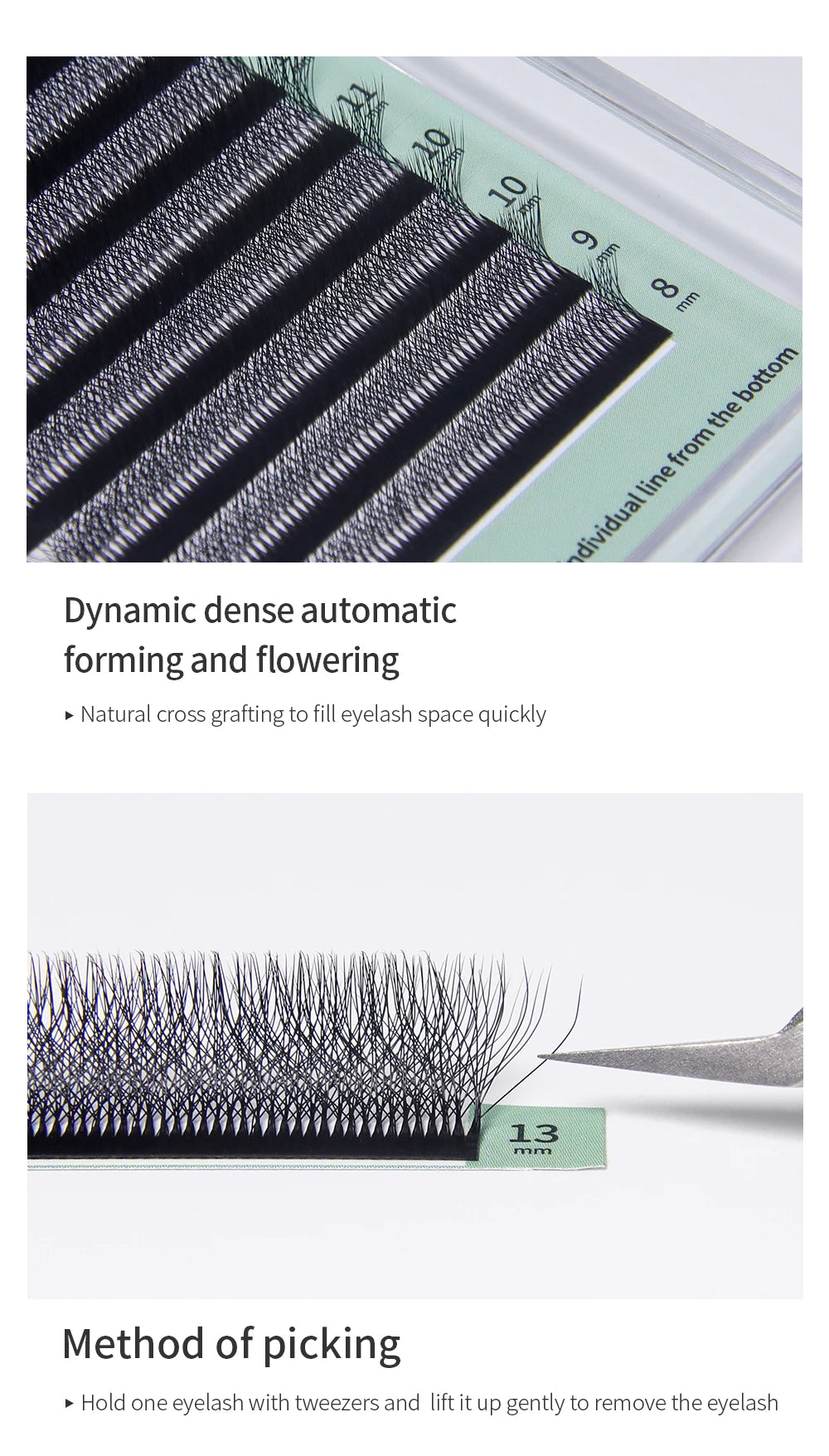 GLAMLASH 8D-W Shaped Eyelash Extension C/D/L/LU/M Premade Volume Fans Clover W Style Lashes False Mink Soft Easy Faning Natural