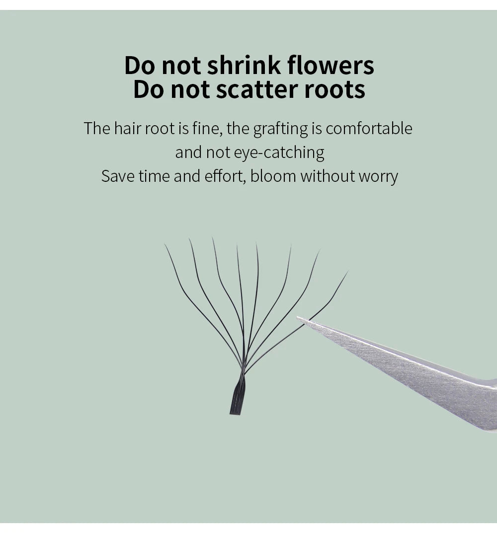 GLAMLASH 8D-W Shaped Eyelash Extension C/D/L/LU/M Premade Volume Fans Clover W Style Lashes False Mink Soft Easy Faning Natural